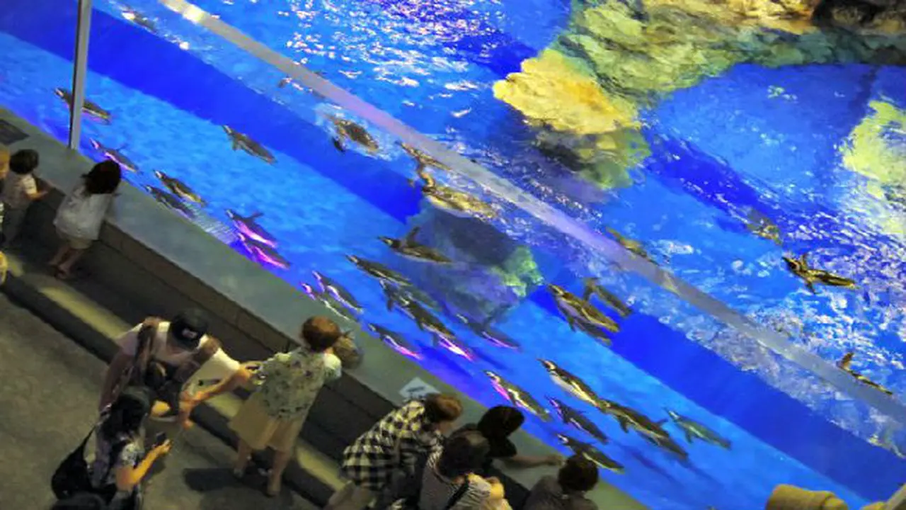 Aquarium Terbesar dan Termodern di Jepang, Sumida Aquarium