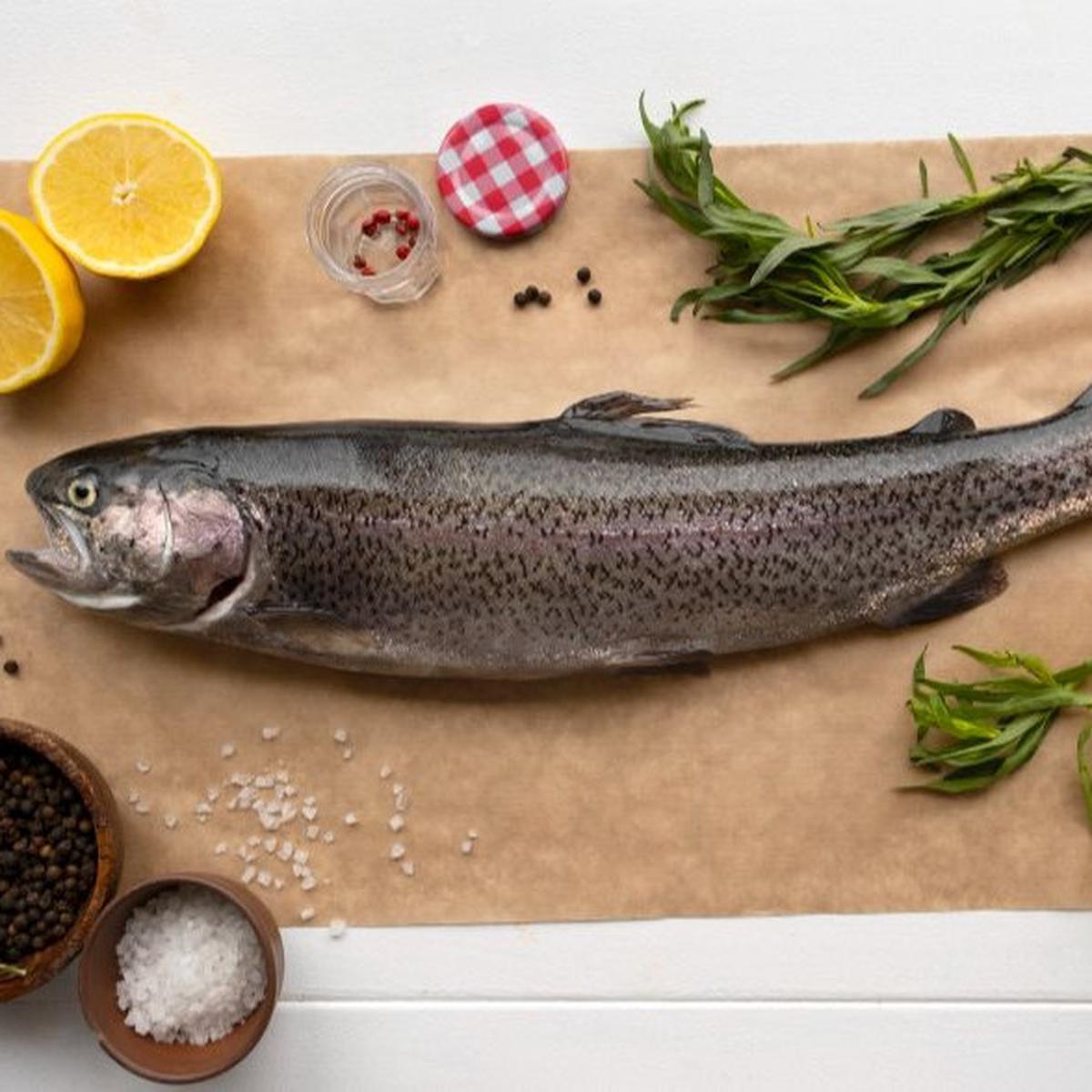 Trout