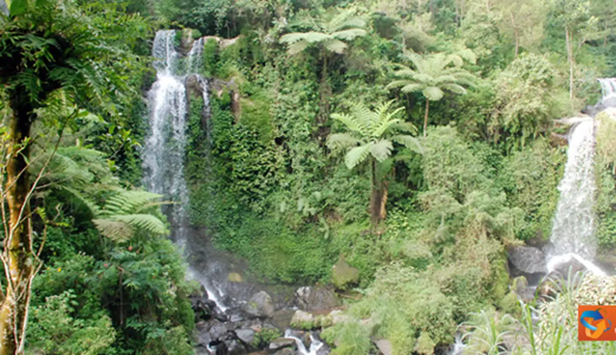 Citizen6, Jawa Tengah: Dinding Air Terjun terdiri dari batuan padat dan pinggirnya ditumbuhi tumbuh-tumbuhan jenis rumput, herba dan semak. (Pengirim: Jarot Wahyudi).