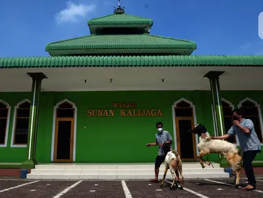 Panitia membawa hewan kurban yang akan disembelih di Masjid Sunan Kalijaga, Padepokan Taman Mini Indonesia Indah, Jakarta, Selasa (20/7/2021). Pemotongan hewan kurban dilakukan dengan menerapkan protokol kesehatan ketat menyusul pemberlakuan PPKM Darurat. (merdeka.com/Imam Buhori)