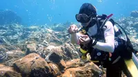 Penyelam di Gunung Banua Wuhu, gunung api bawah laut di Pulau Sangihe, Sulawesi Utara. (Dok: IG @ucilaatjin&nbsp;https://www.instagram.com/p/CL0_idWBbBJ/?igsh=MXF6amlrbGxoeDE2NQ%3D%3D)