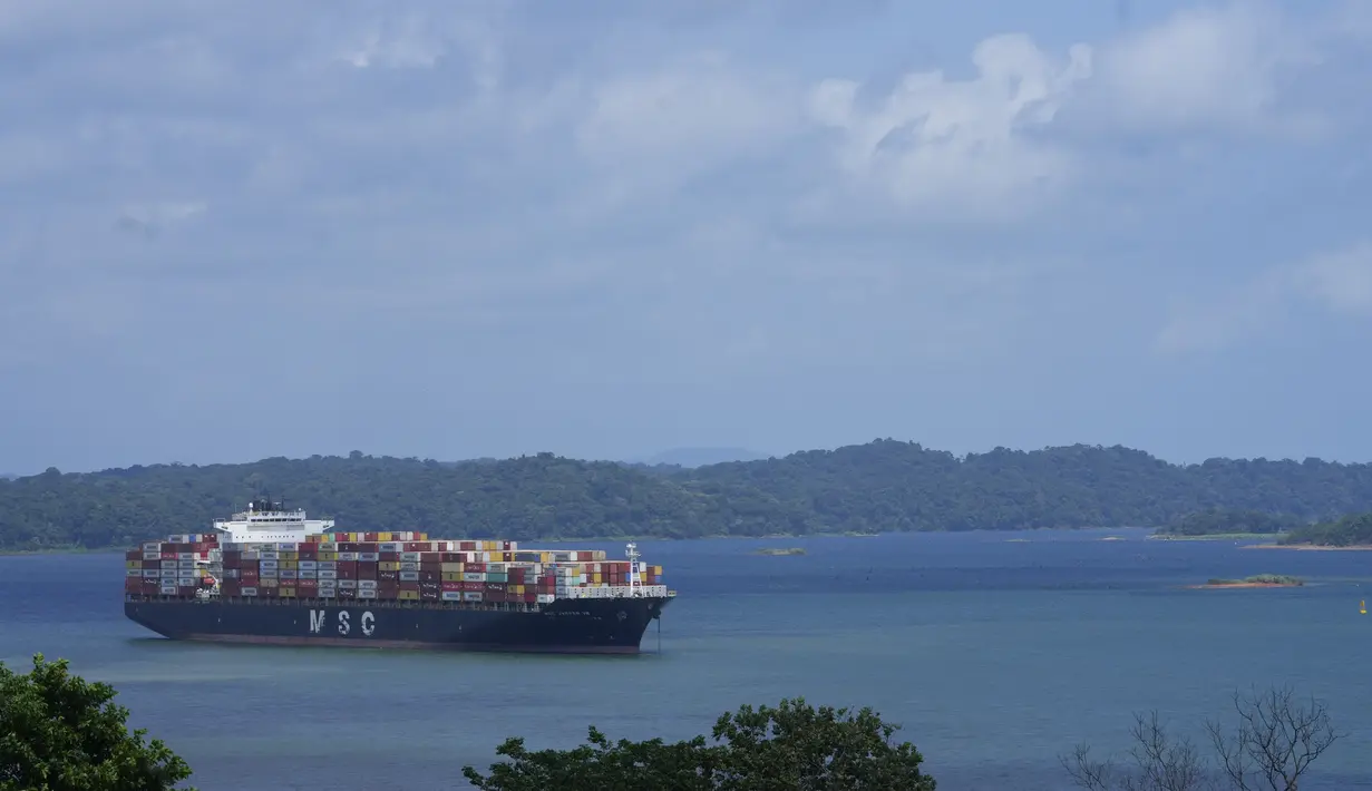 Sebuah kapal kargo menunggu di danau Gatun, untuk transit melalui kunci Agua Clara di Terusan Panama di Agua Clara, Panama, Kamis, 3 Agustus 2023. Otoritas Terusan Panama mengatakan pihaknya membatasi lalu lintas menjadi 32 transit kapal setiap hari melalui terusan setelah berbulan-bulan mengalami kekeringan dan memperkirakan akan ada penurunan pendapatan pada tahun 2024 karena krisis air yang sedang berlangsung. (AP Photo/Arnulfo Franco)