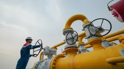Kembangkan Biometana, Pertagas Niaga Bakal Beli CBG reNIKOLA