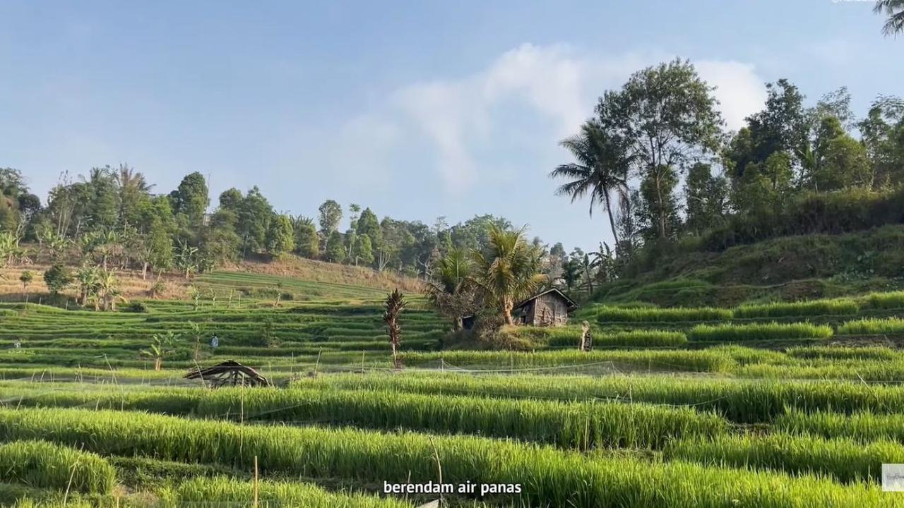 Waktu Terbaik adalah Pagi dan Sore