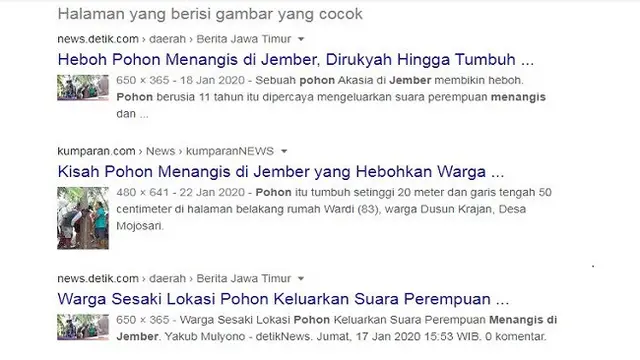 Gambar Tangkapan Layar Penelusuran Foto dengan Google Reverse Image