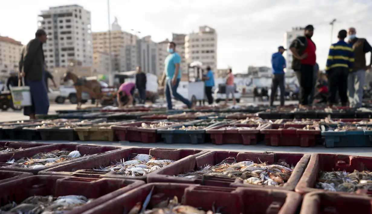 Hasil laut tangkapan nelayan diletakkan di area terbuka saat sejumlah pembeli melihat berbagai hasi laut di kawasan Gaza (23/5/2021). Pelelangan hasil laut di Gaza kembali bergeliat usai sejumlah kapal nelayan diizinkan kembali melaut pasca Israel-Hamas gencatan senjata. (AP Photo/John Minchillo)