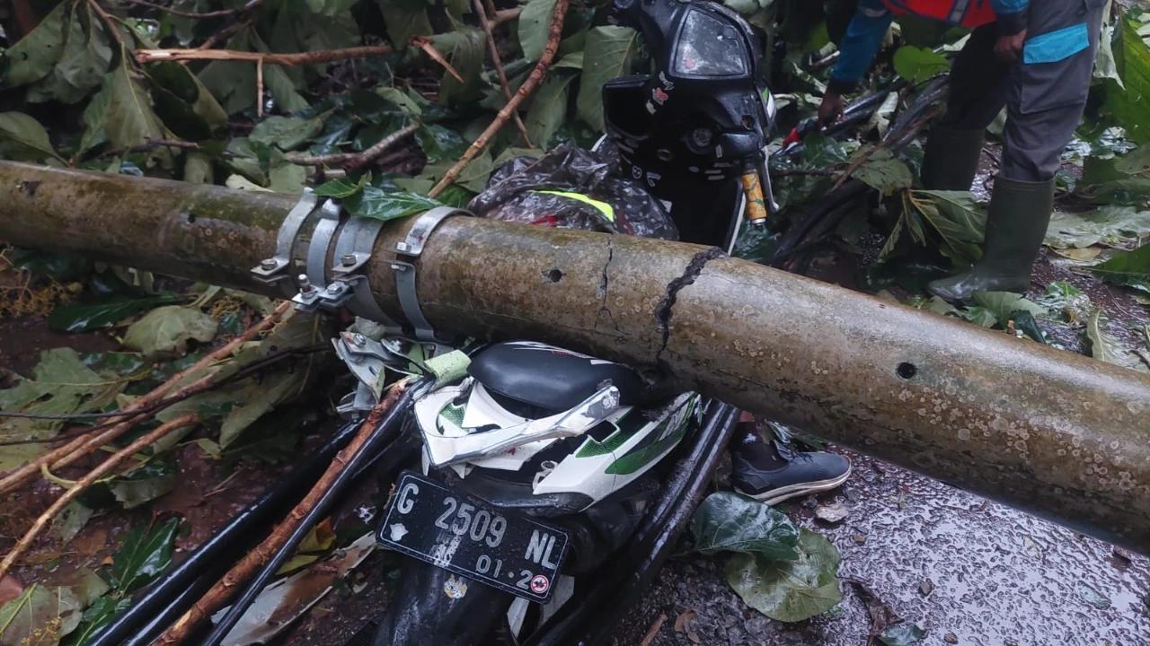 Motor Ringsek, 3 Pengendara Tewas Tertimpa Pohon Tumbang Imbas Angin Kencang di Batang