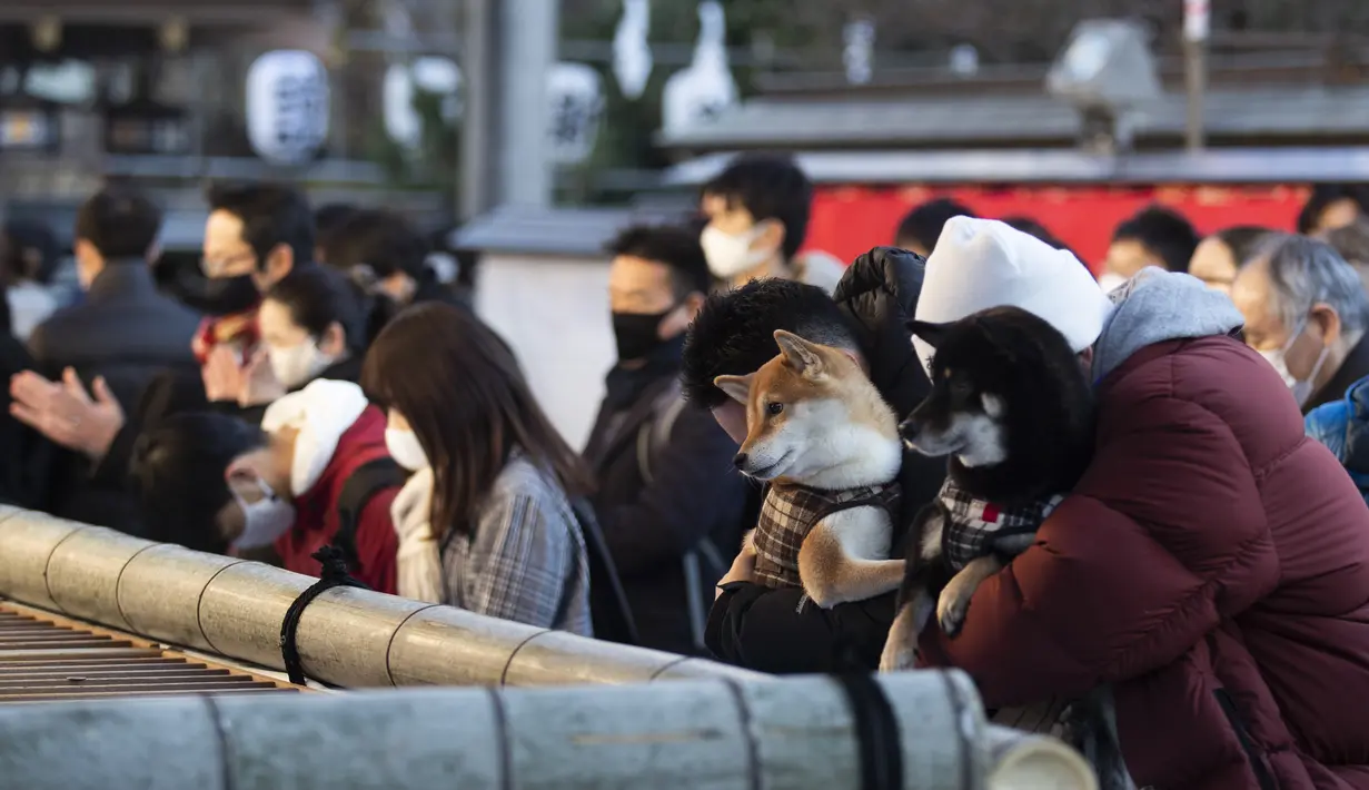 Pria memegang anjing berdoa di kuil Yushima Tenmangu di Tokyo pada Hari Tahun Baru, Jumat (1/1/2021). Warga di Tokyo ramai-ramai mengunjungi Kuil Yushima Tenmangu untuk berdoa dengan menulis harapan di papan Ema. (AP Photo/Hiro Komae)