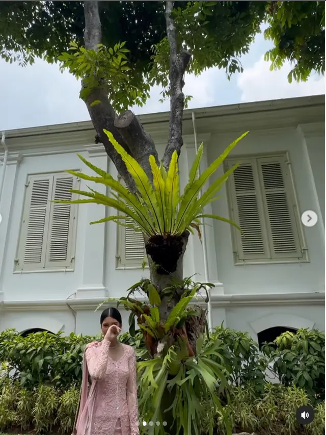 6 Potret Almira Yudhoyono Tengok Pohon 'Kenari Aira' di Istana Negara, Ditanam Ani Yudhoyono