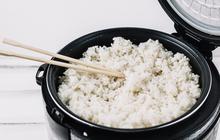 Tak Perlu Minyak Goreng, Begini Cara Menanak Nasi Supaya Tidak Cepat Basi