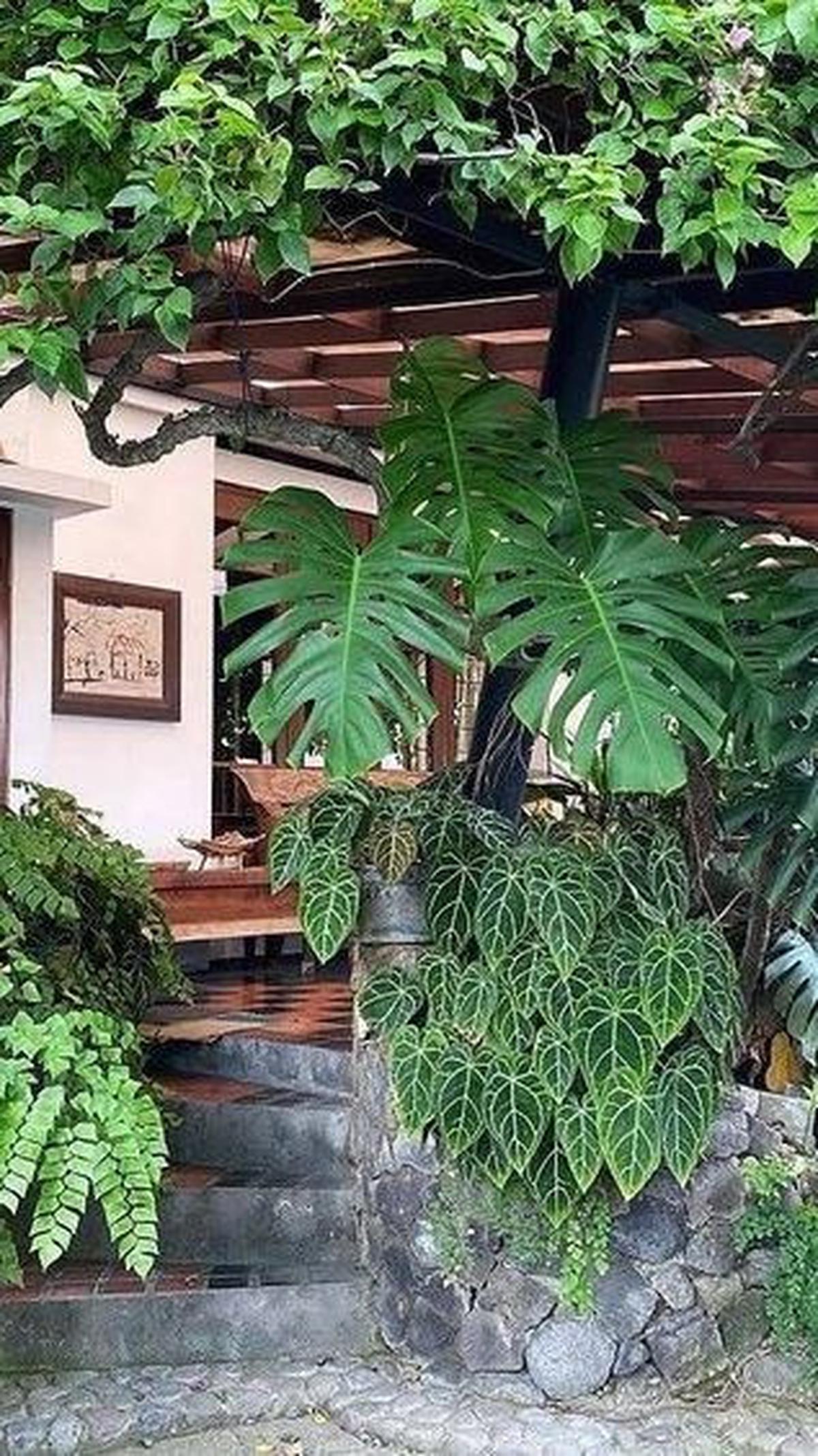 Taman Rindang dengan Atap