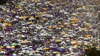 Akibat suhu ekstrem tersebut, jutaan peserta haji menggunakan payung dan bahkan sering mengguyur kepala mereka dengan menggunakan air. (AP Photo/Amr Nabil)