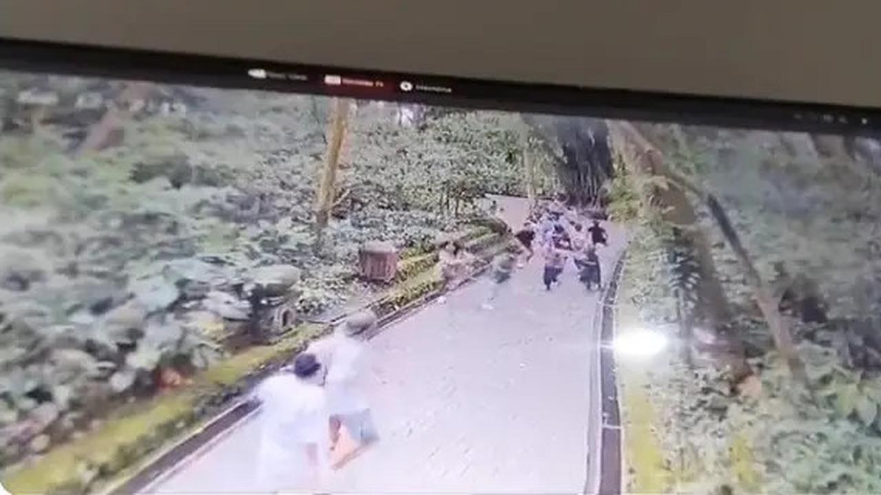 Jenazah WNA Korsel Tertimpa Pohon di Monkey Forest Ubud Dikremasi di Bali