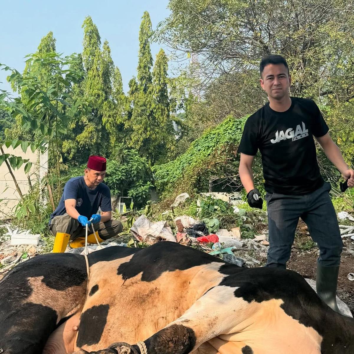 Potret Raffi Ahmad Potong Sapi Kurban Pakai Golok Khusus Bertuliskan Nama Sendiri