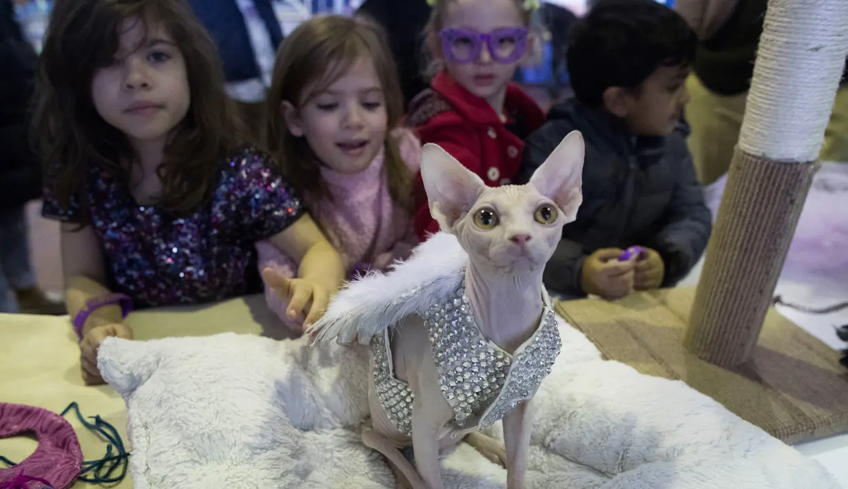 Anak-anak memeriksa Soho, seekor anjing berjenis sphinx, dalam kompetisi Westminster Kennel Club 142nd Annual Dog Show di New York, Amerika Serikat, Sabtu (10/2). (AP Photo/Mary Altaffer)