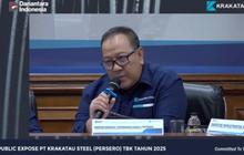 Krakatau Steel Siapkan Kawasan Industri Ketiga, Luasnya 2.000 Hektare