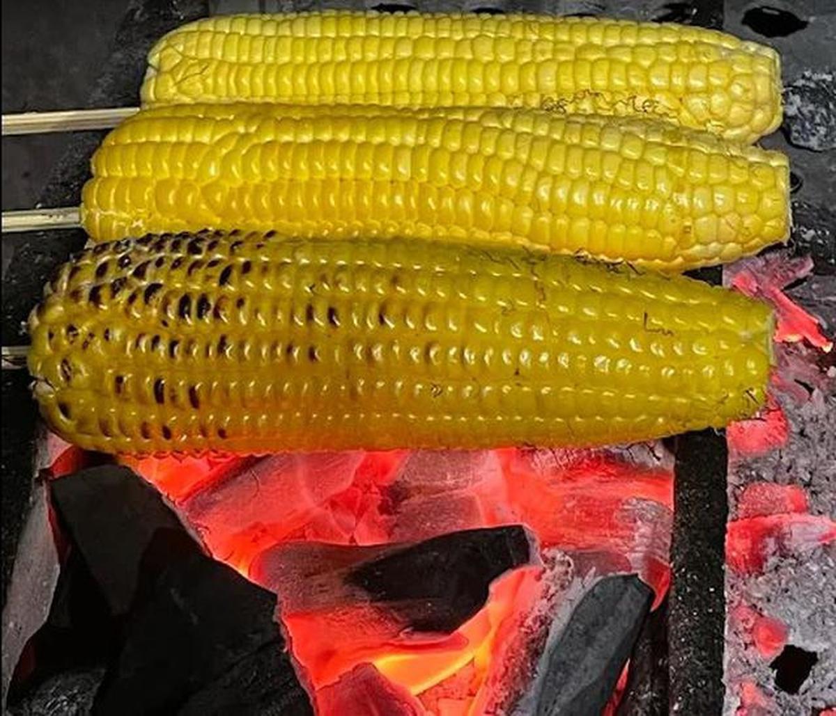 Jagung bakar kebonan
