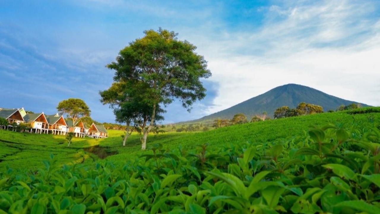 <b>2. Punya 2 Puncak</b>