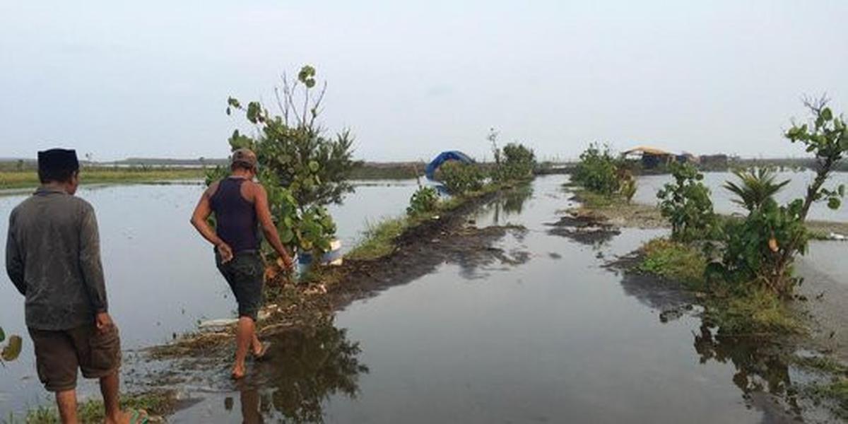Warga tolak penambangan pasir lantaran sawah terendam air laut