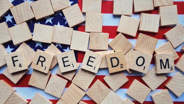 Demokrasi Adalah Bentuk Pemerintahan, Pahami Pengertian hingga Jenis-jenisnya