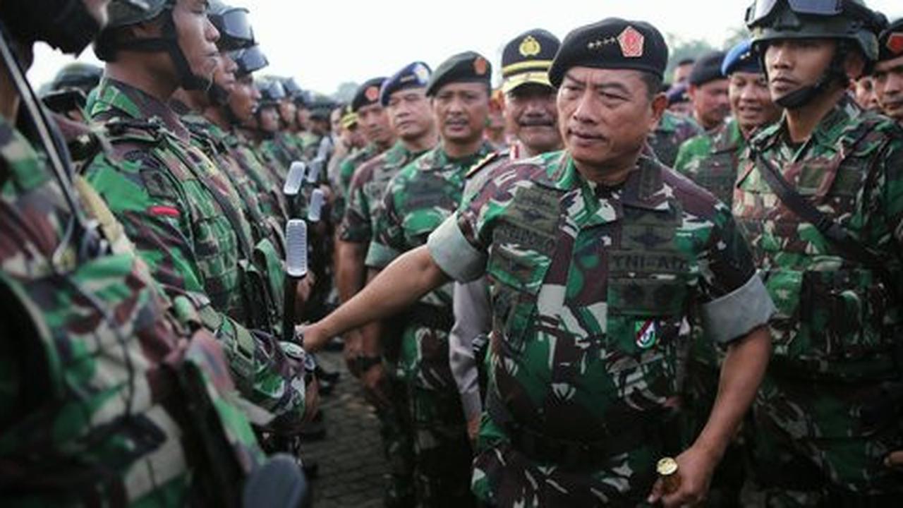 Panglima TNI: Wakil panglima bisa ambil tanggung jawab operasi