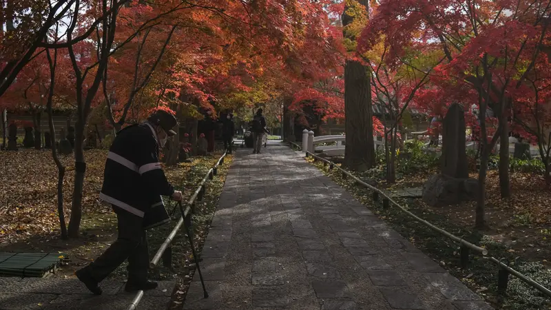 Warna-Warni Daun di kuil Buddha Joshinji Jepang