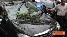 Citizen6, Jakarta: Sebuah mobil kijang Innova bernopol B 1092 KFF tertimpa pohon tumbang sehingga mengalami kerusakan di beberapa bagian. Hal ini menyebabkan kemacetan di ruas Jl. Abdul Muis, Jakarta Pusat. (Pengirim: Wawan Darmawan)

