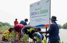 Momentum Hari Mangrove Sedunia 2025, BRI Buktikan Komitmen Nyata Jaga Ekosistem Pesisir di Muaragembong