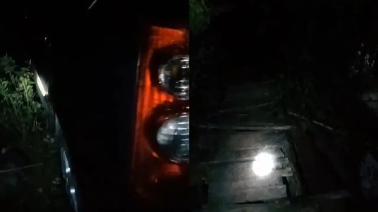 Viral Mobil Pemudik Nyasar di Hutan Tengah Malam, Pengemudi Serasa di Tol