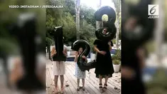 Sebelumnya Jessica telah memiliki dua anak, Honor berusia 9 tahun dan Haven berusia 5 tahun.