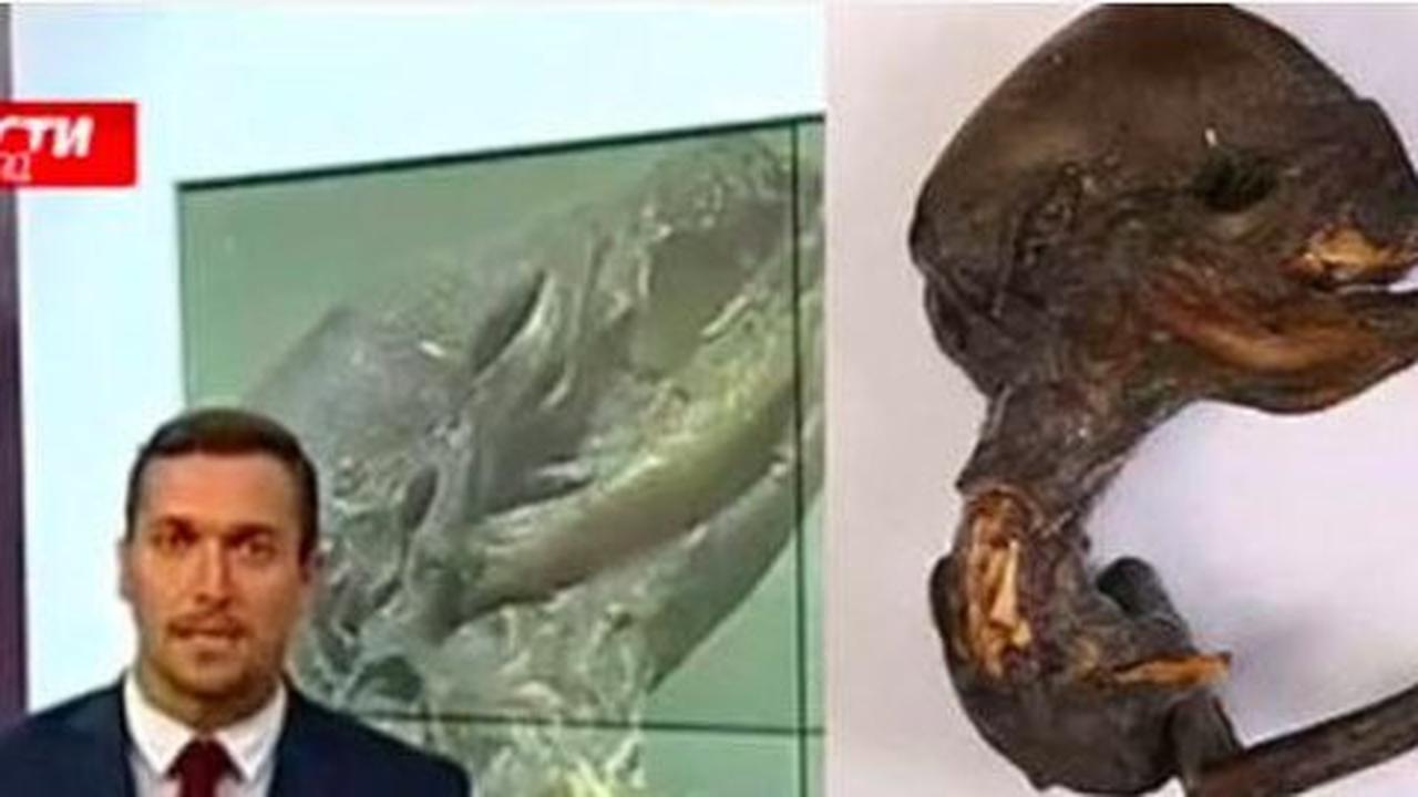 Sosok mirip alien ditemukan dekat pembangkit nuklir Rusia