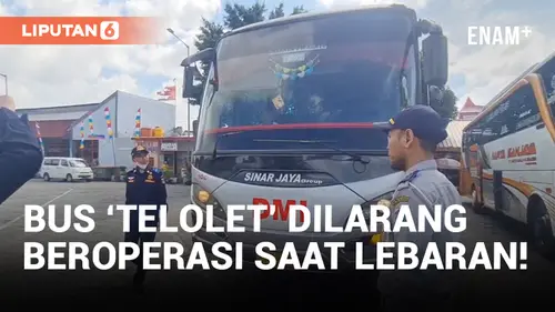 VIDEO: Bus Berklakson Telolet Dilarang Dirjen Perhubungan Beroperasi Saat Lebaran