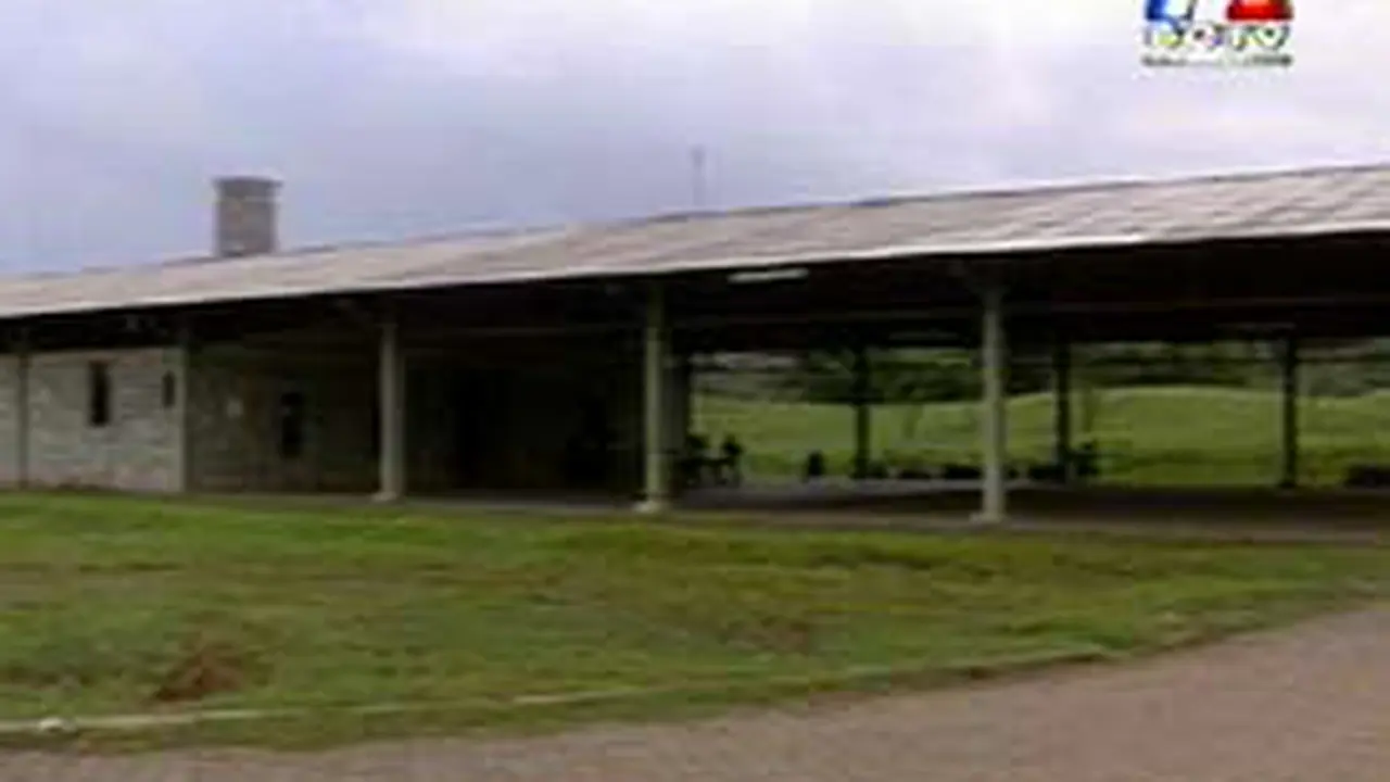080501cDemoLippo.jpg