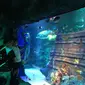 Sea Life Malaysia (Liputan6.com/Putu Elmira)