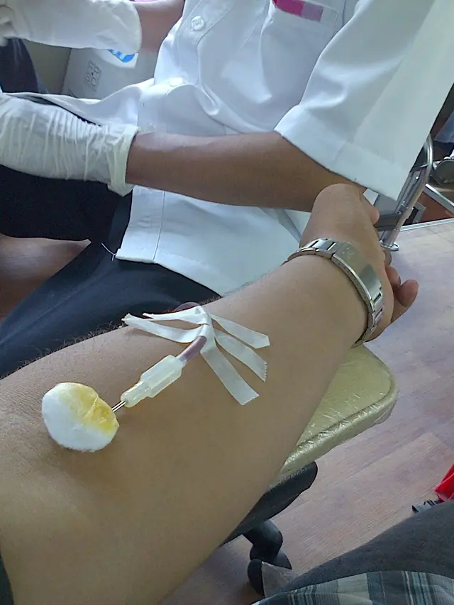 Donor darah