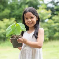 anak perempuan sedang memagang pohon kecil.&nbsp;[Dok/freepik.com]