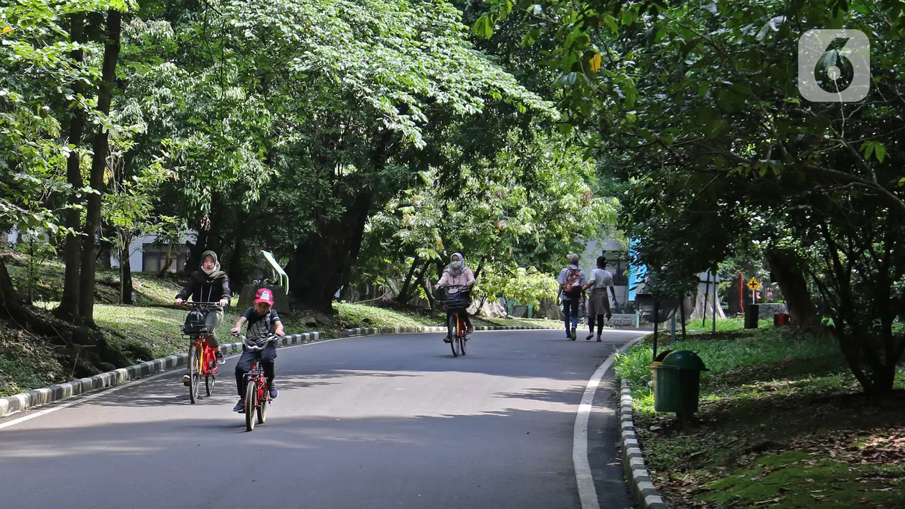 FOTO: Hore, Kebun Raya Bogor Kembali Dibuka