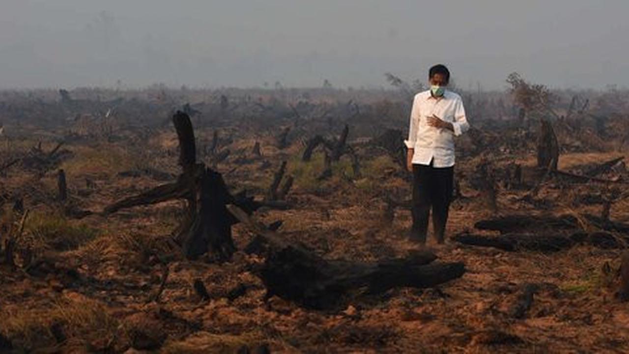 Jokowi targetkan 2 minggu, Luhut sebut sebulan tangani kabut asap