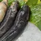 Makan Ikan Gabus Usai Operasi Caesar, Ketahui Peran Albumin