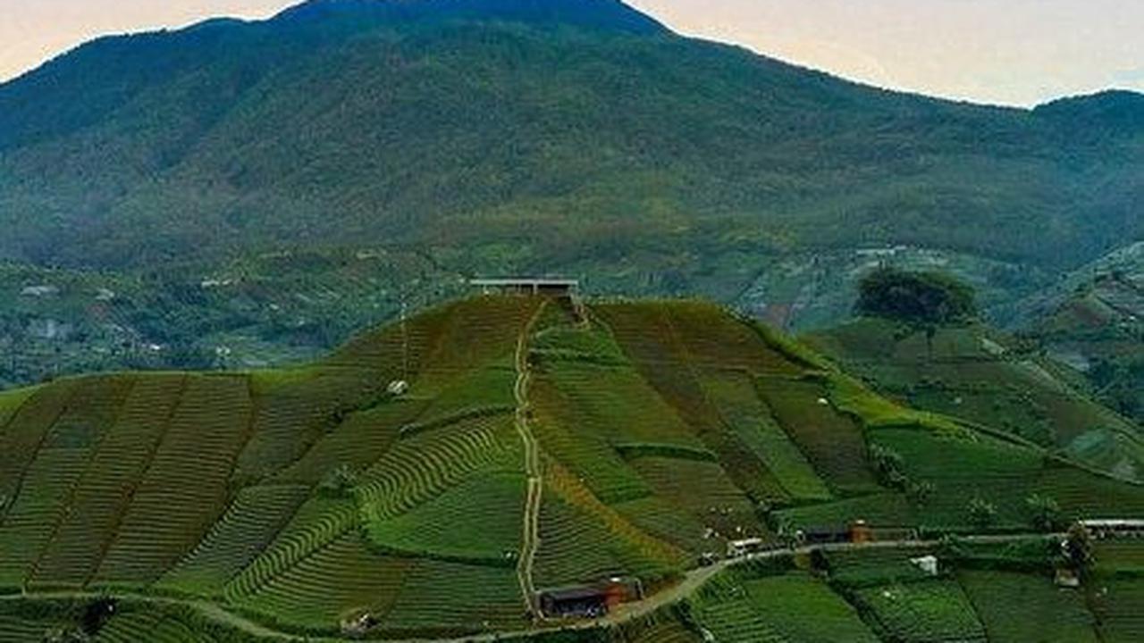 Cantik saat hijau