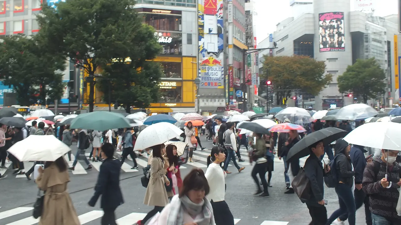 Sensasi Berjalan di Persimpangan Shibuya Crossing