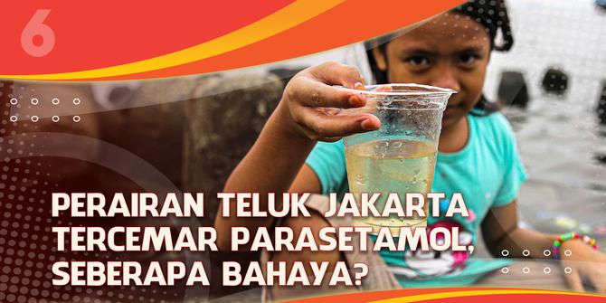VIDEO Headline: Perairan Teluk Jakarta Tercemar Paracetamol, Seberapa Bahayanya?