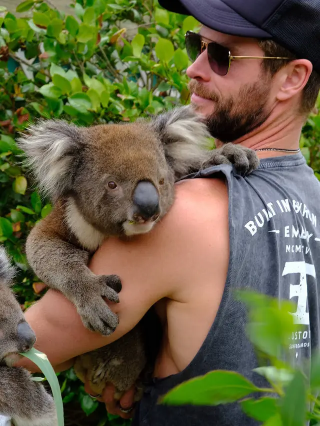 Chris Hemsworth