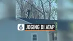 vertical joging