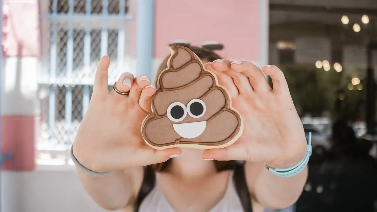 Ilustrasi tinja