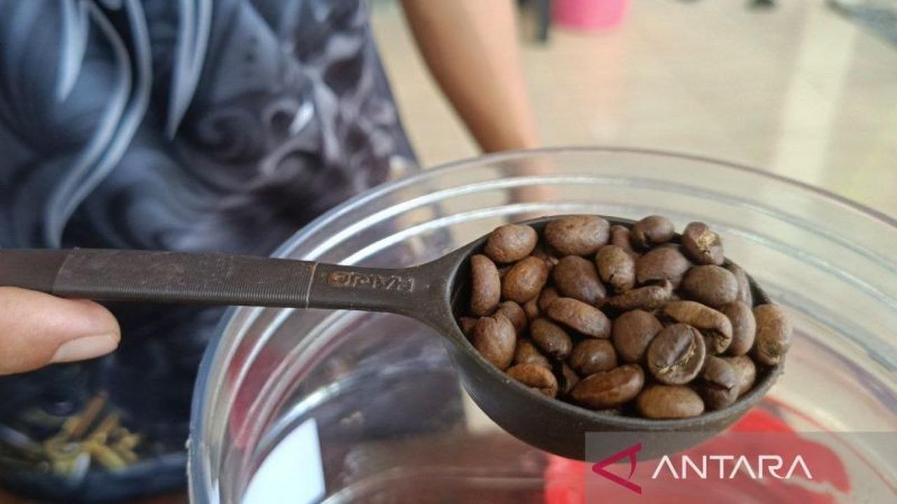 Kaltim Targetkan Kopi Prangat Raih Indikasi Geografis pada 2026, Perkuat Ekonomi Lokal