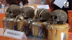 Kantor Bea Cukai Bali dan Nusa Tenggara menggagalkan penyelundupan 24 tengkorak. Diduga tengkorak-tengkorak ini akan dikirim ke Belanda.