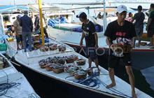 Penyaluran KUR di Sulsel Capai Rp7,78 Triliun per Mei 2026, Dorong Ekonomi Daerah