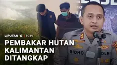 Pembakar Hutan Kalimantan Ditangkap