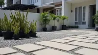 7 Desain Halaman Rumah yang Tetap Rapi Meski Jarang Dibersihkan, Cocok untuk Gaya Hidup Modern